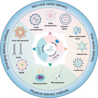 Breaking genetic shackles: The advance of base editing in genetic disorder treatment